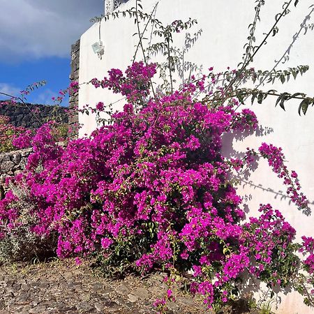 הוילה Angra do Heroísmo Casa Do Becco מראה חיצוני תמונה